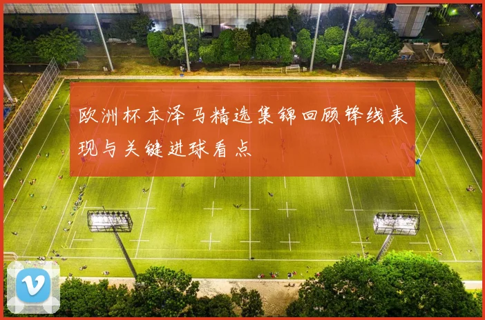 欧洲杯本泽马精选集锦回顾锋线表现与关键进球看点