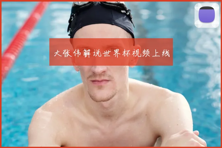 大张伟解说世界杯视频上线