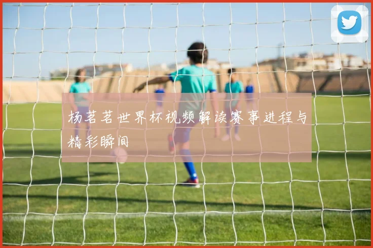 杨茗茗世界杯视频解读赛事进程与精彩瞬间
