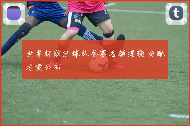 世界杯欧洲球队参赛名额揭晓 分配方案公布