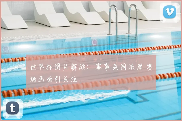 世界杯图片解读：赛事氛围浓厚 赛场画面引关注