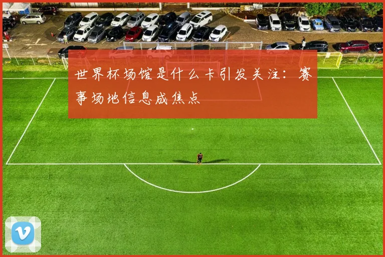 世界杯场馆是什么卡引发关注：赛事场地信息成焦点