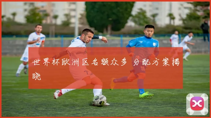 世界杯欧洲区名额众多 分配方案揭晓